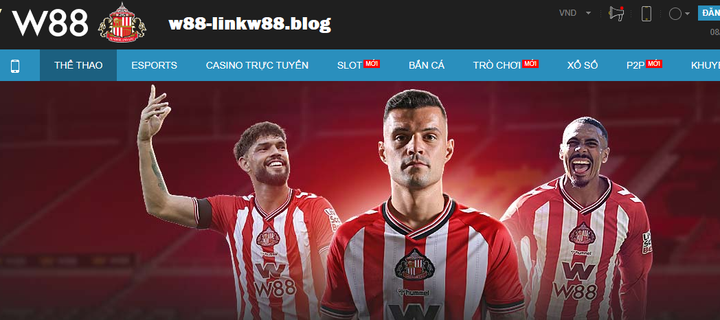 Đối tác chính thức W88 2025 Đối tác chính thức W88 2025
